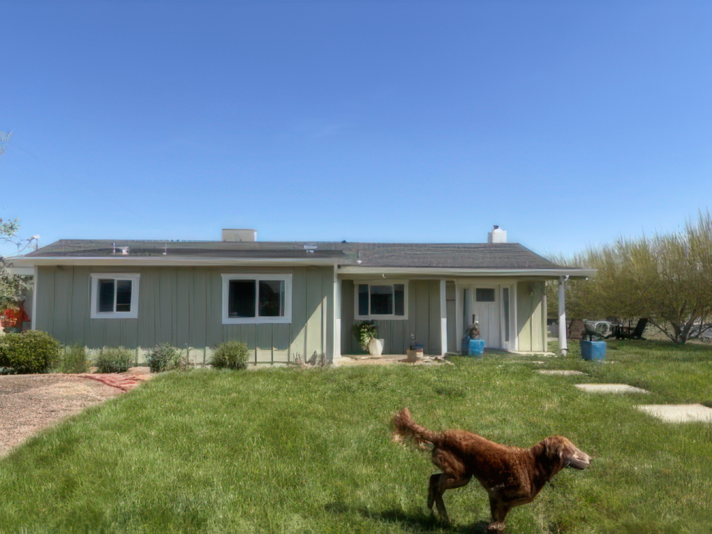 Green stucco home exterior painting with grass yard Green stucco home with grass yard